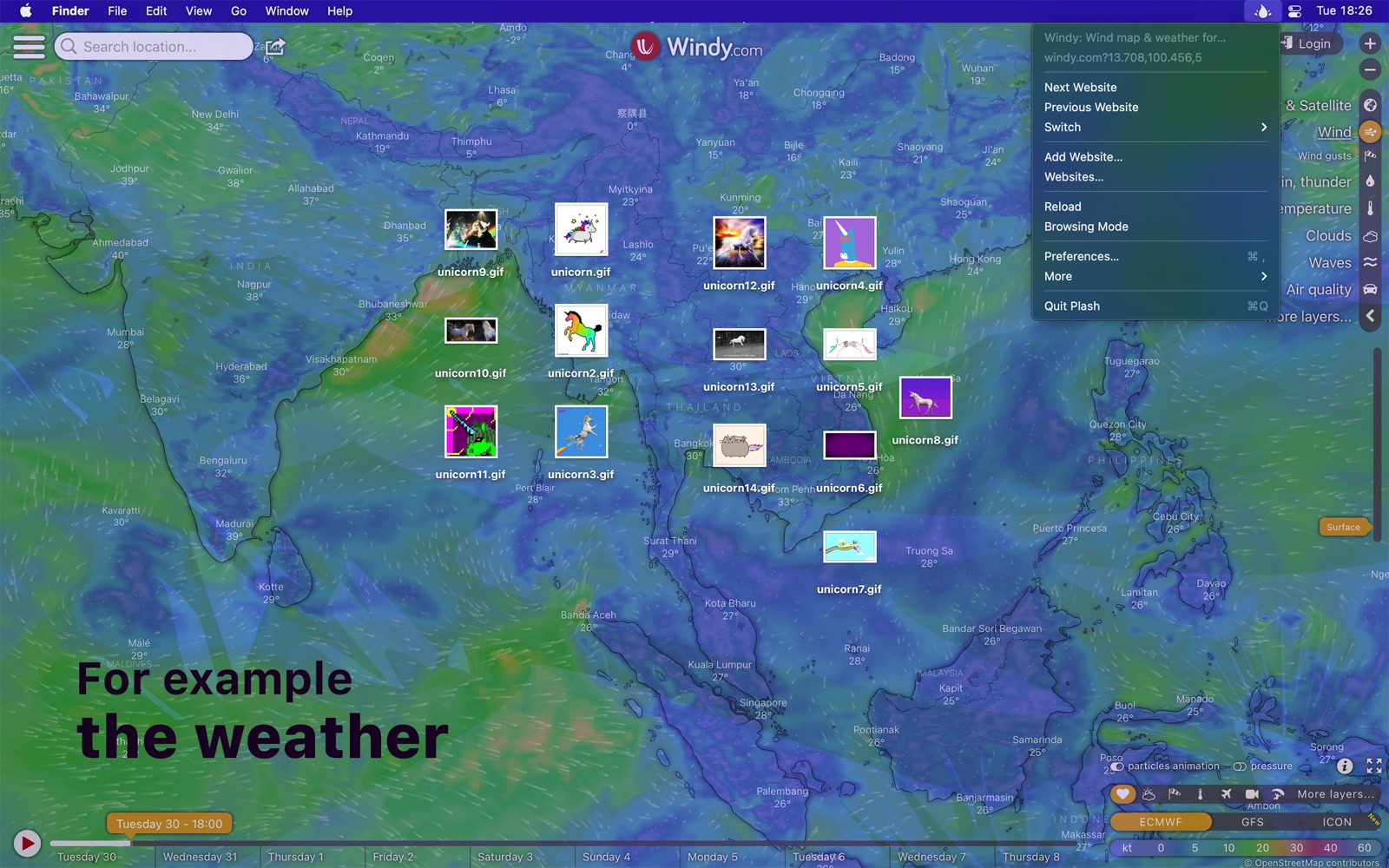 Plash Mac screenshot 2