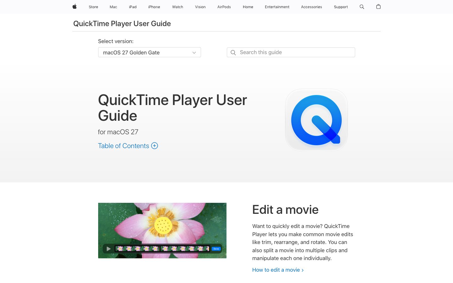 Website