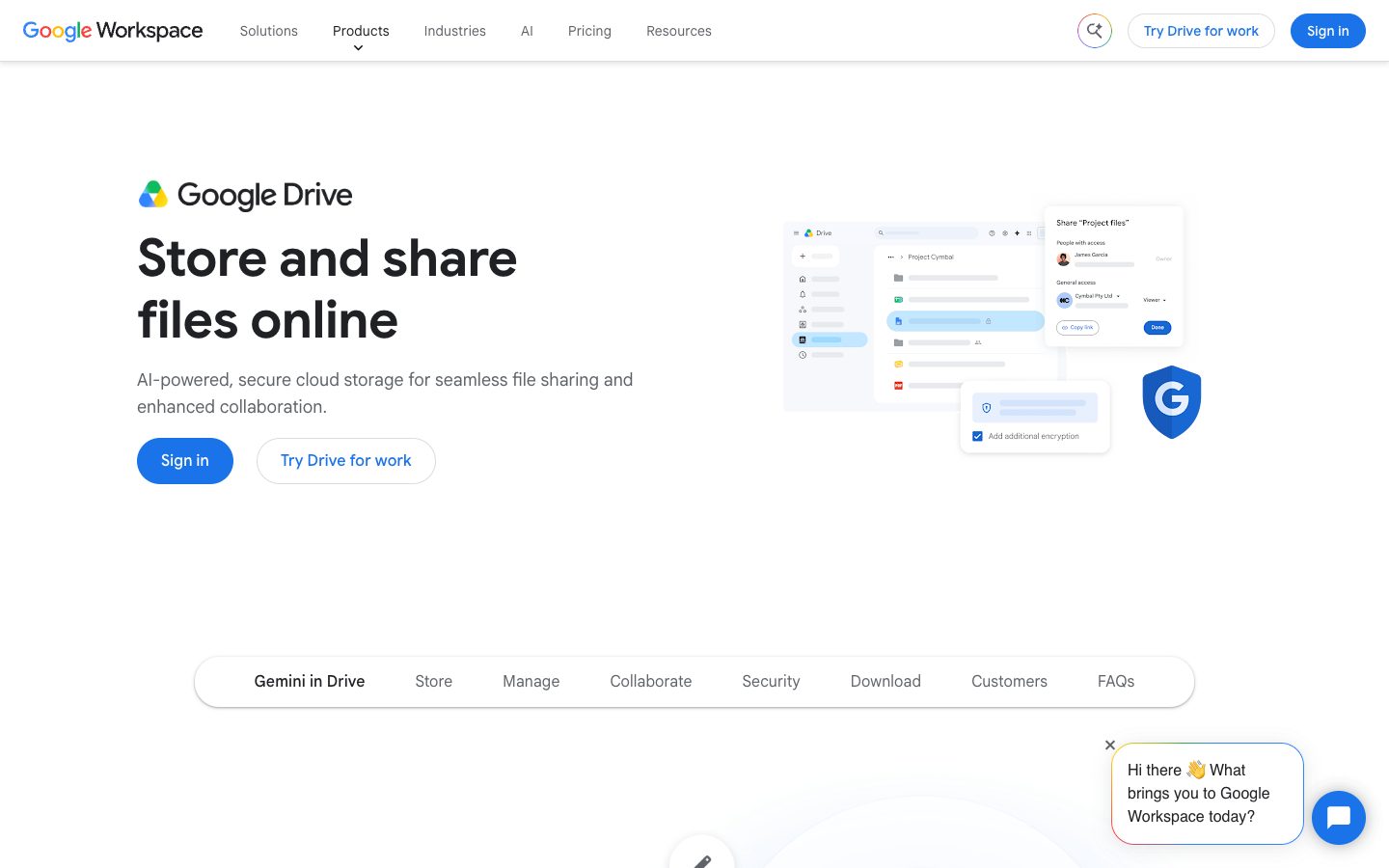 Website