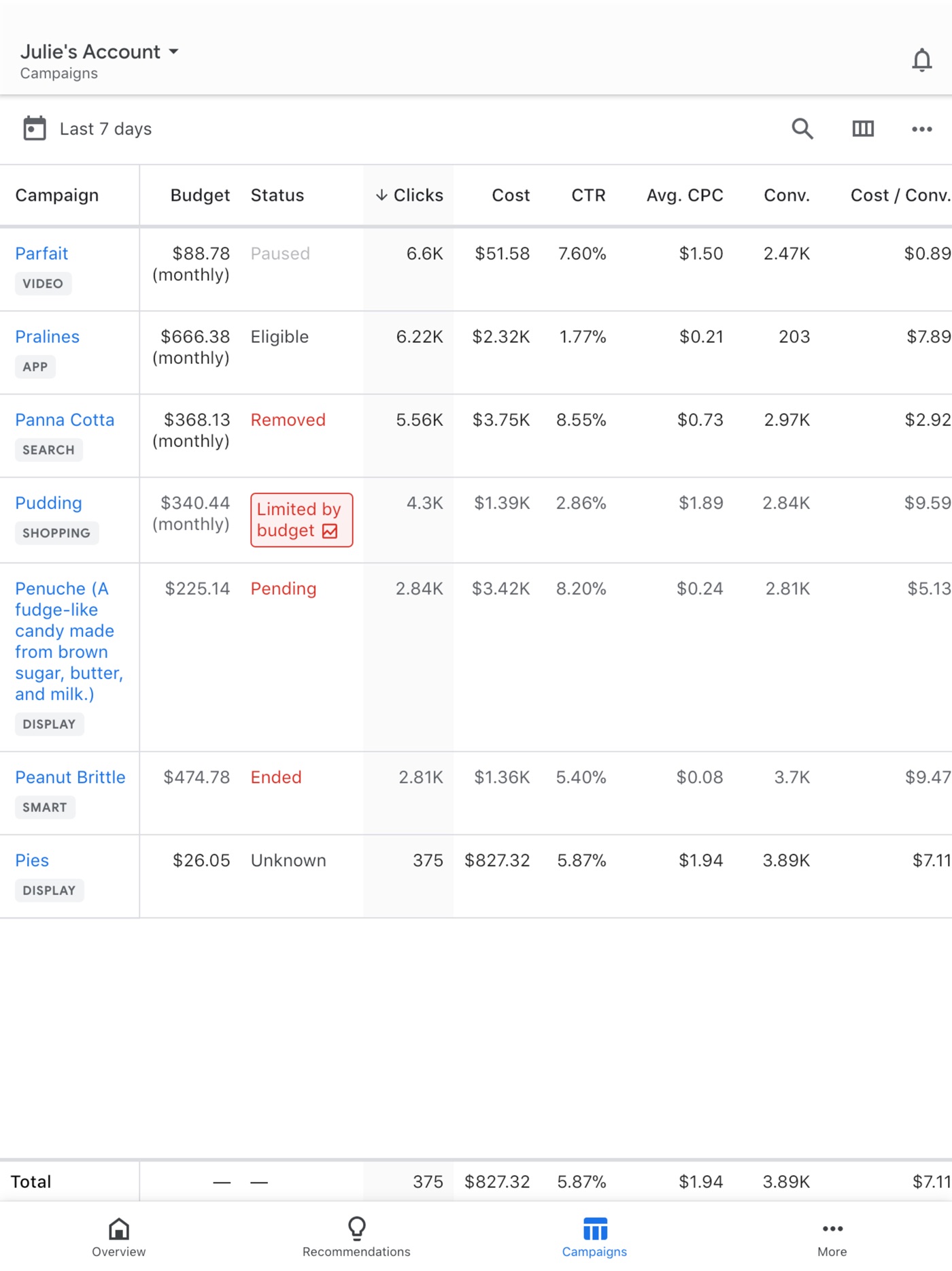 Google Ads iPad screenshot 3