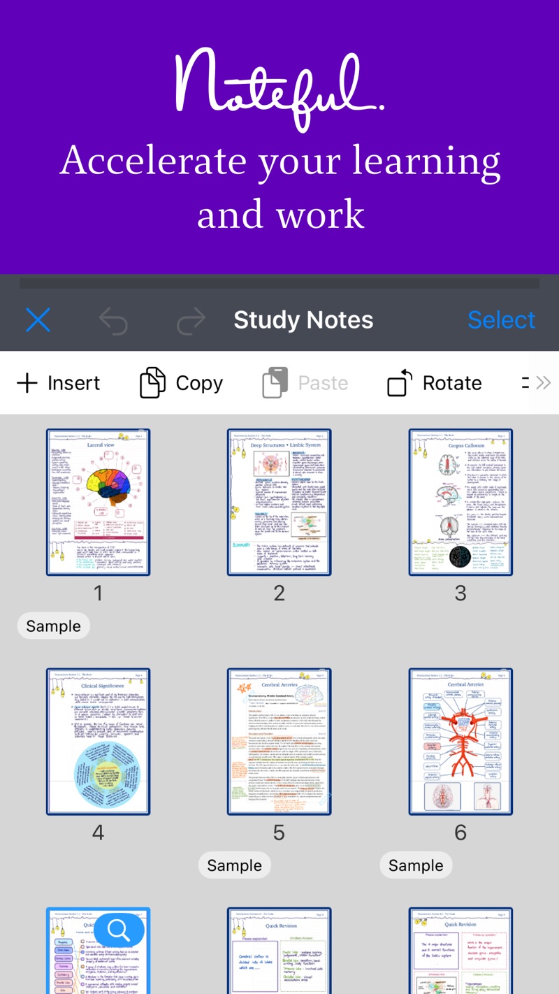 Noteful iPhone screenshot 8