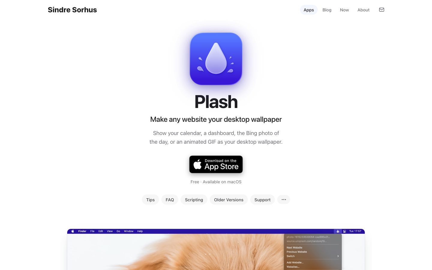Website