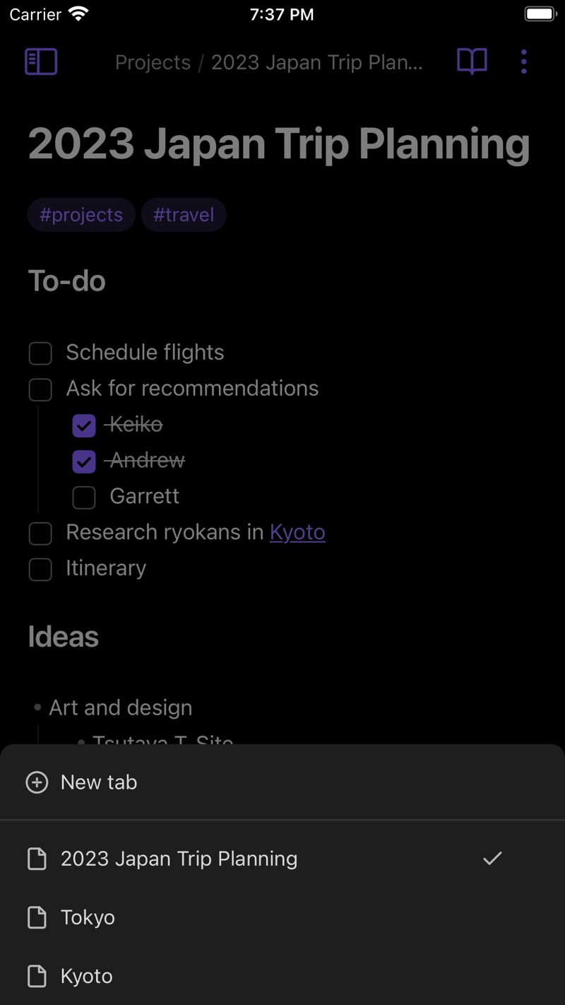 Obsidian iPhone screenshot 7
