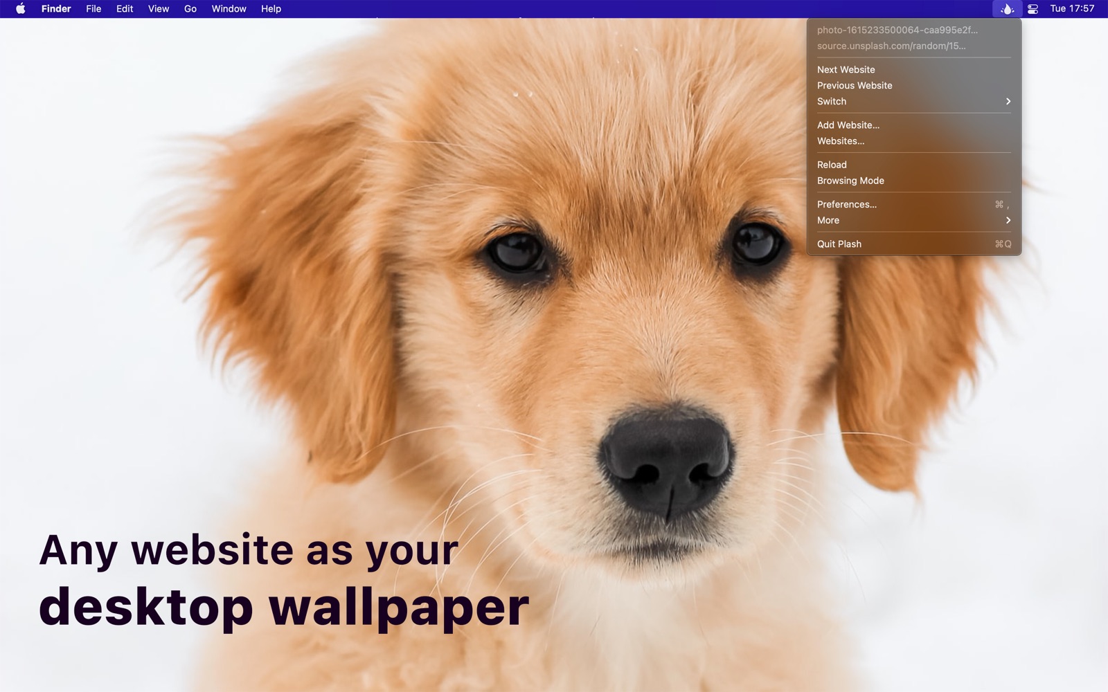 Plash Mac screenshot 1