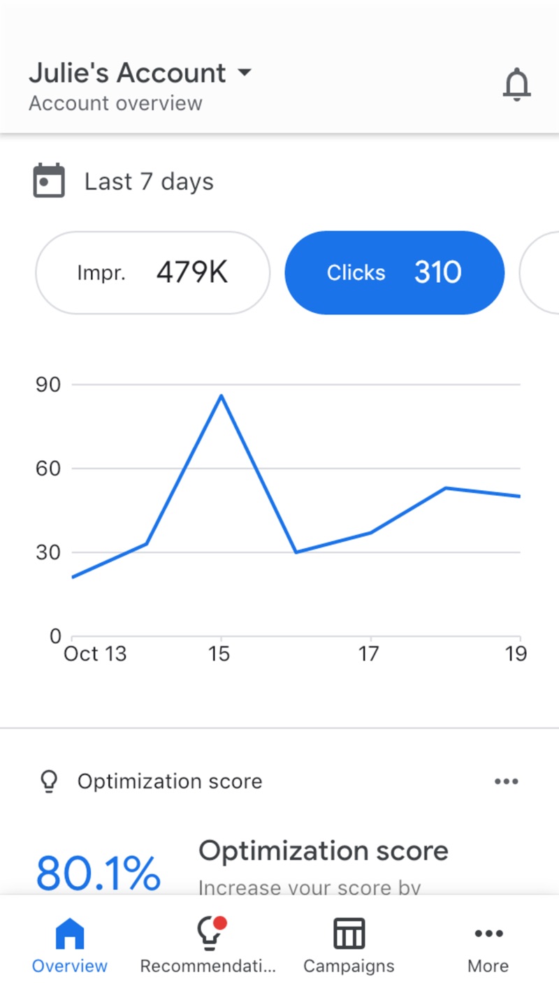 Google Ads iPhone screenshot 1