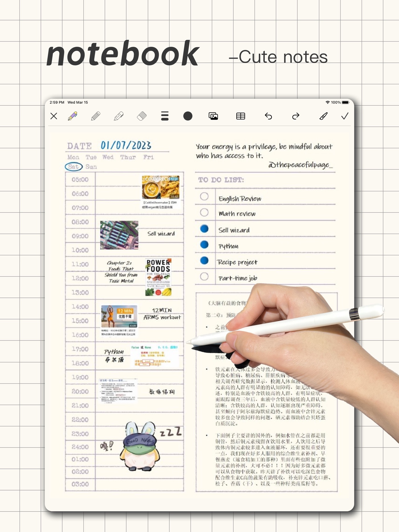 Notebook iPad screenshot 1