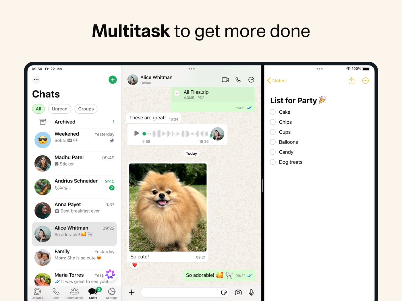 WhatsApp iPad screenshot 3