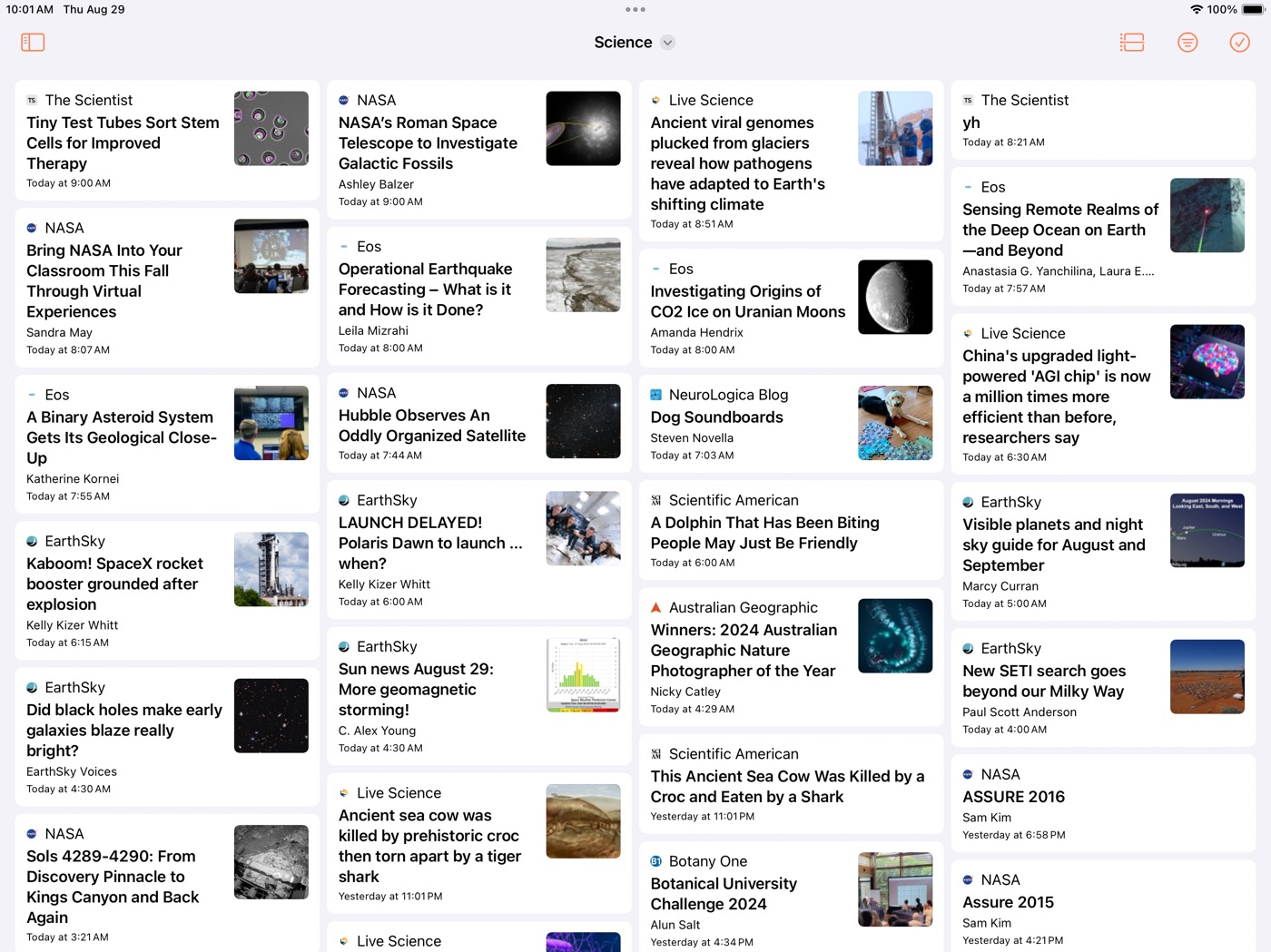 Den for RSS iPad screenshot 2