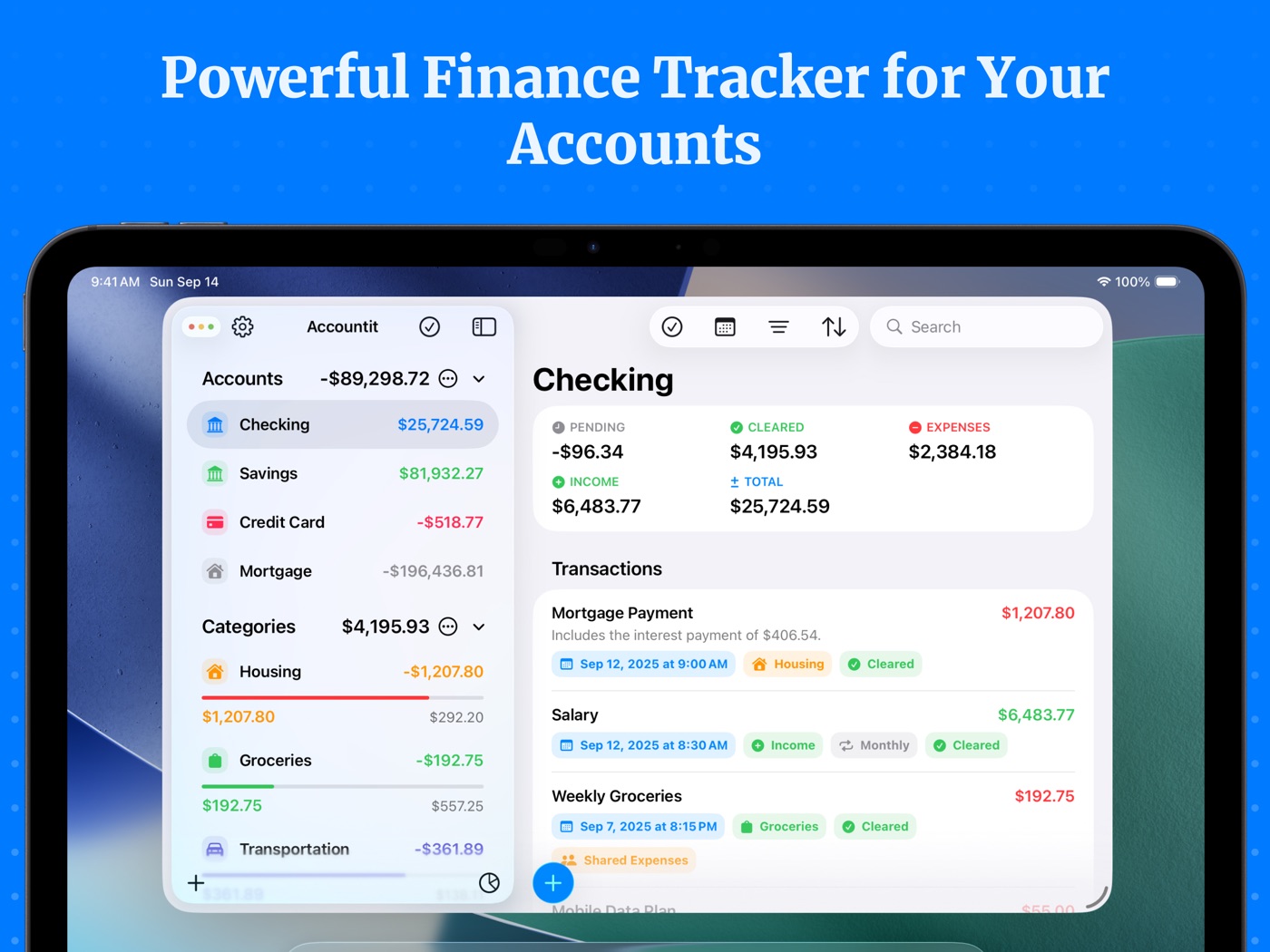 Accountit iPad screenshot 2
