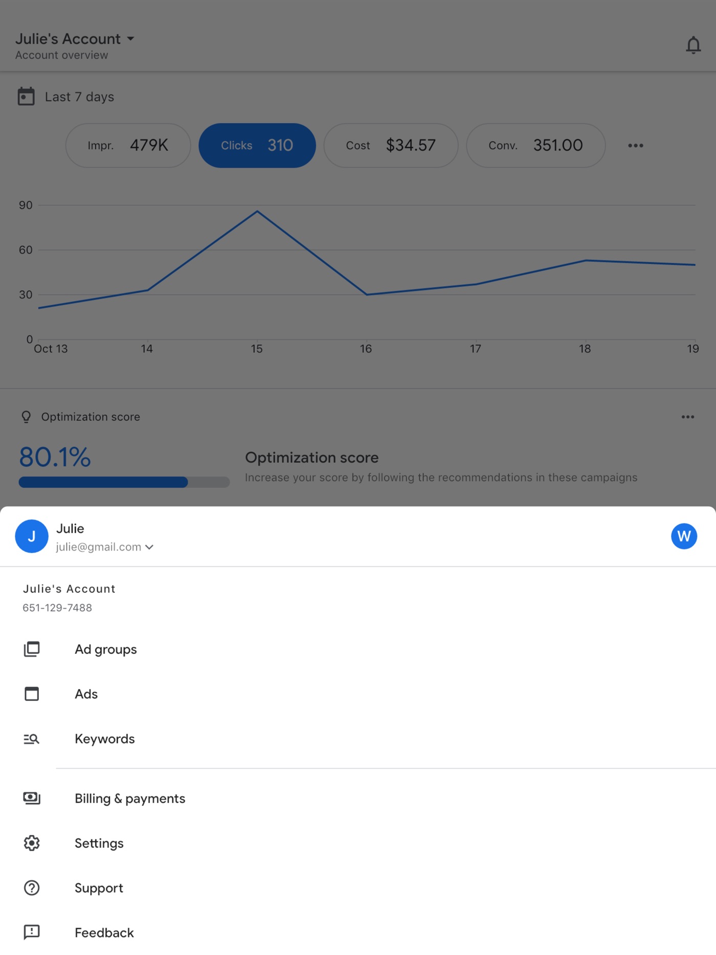 Google Ads iPad screenshot 4