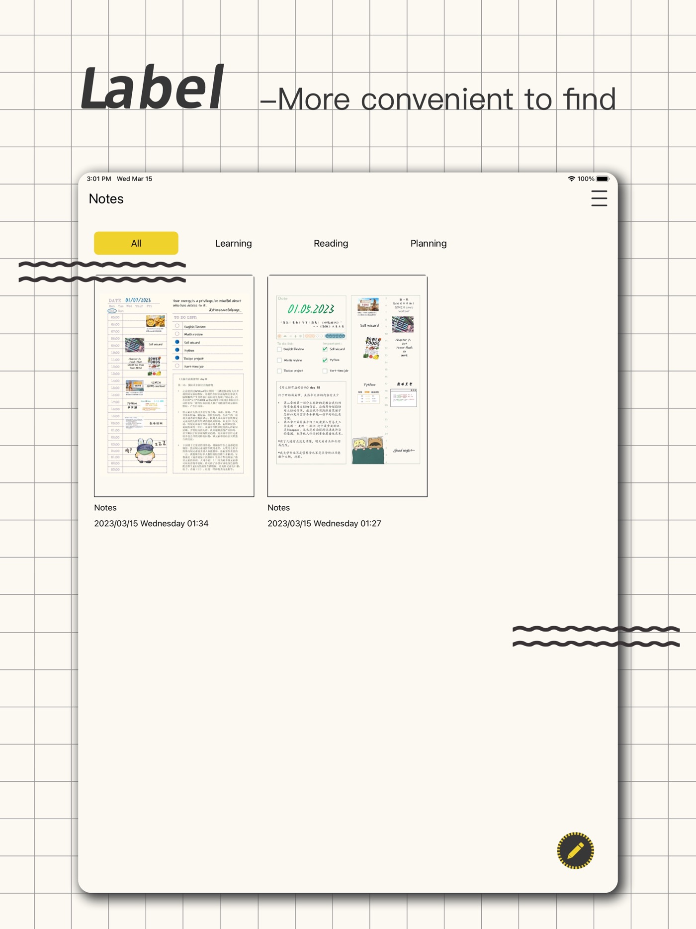 Notebook iPad screenshot 2