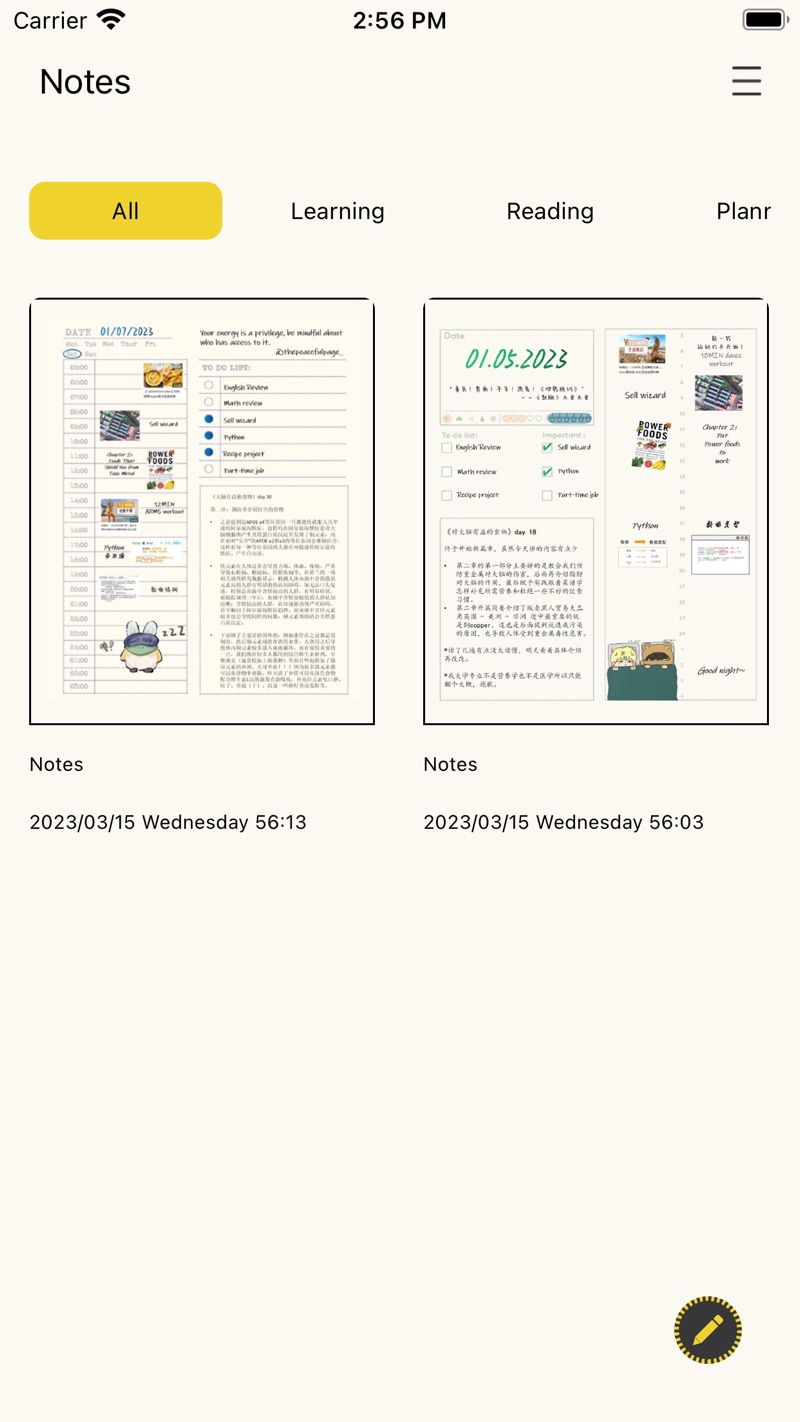 Notebook iPhone screenshot 2